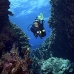 swimthru_ad1_si_v_0081_egy3784.jpg